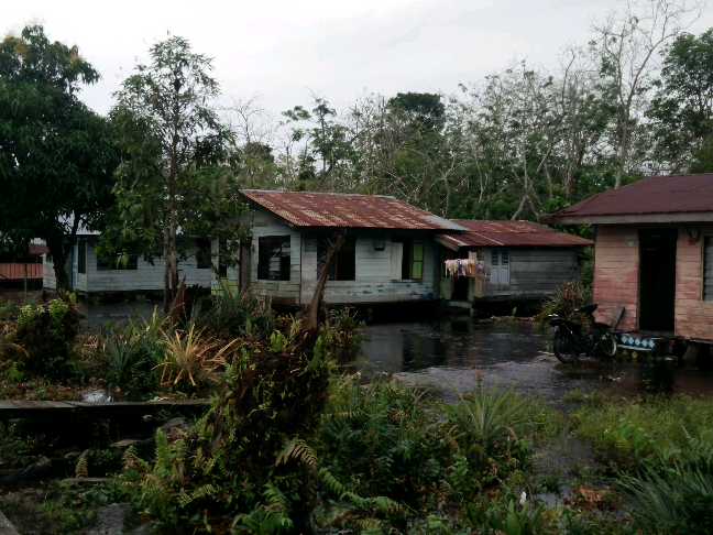 Akibat Curah Hujan, Puluhan Rumah di Kecamatan Bukit Batu Bengkalis Terendam Banjir