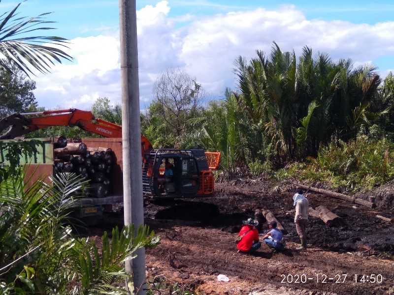 Aneh, Kayu Alam dari Meranti, Bongkar di Sungai Rawa Siak