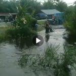 Screenshot_20240103_185134_WhatsApp