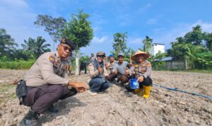 IMG-20260714-WA0034