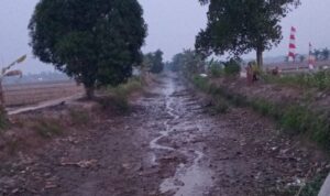IMG-20260831-WA0080